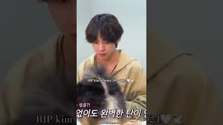 RIP yeontan 😭now you are a star tannie angel [upl. by Erde]