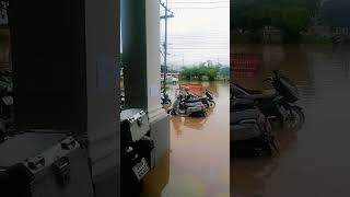 CHIANG MAI THAILAND FLOOD 2024 [upl. by Ainesey86]