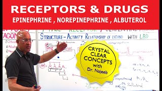 Receptors amp Drugs  Epinephrine Norepinephrine Albuterol [upl. by Brentt]