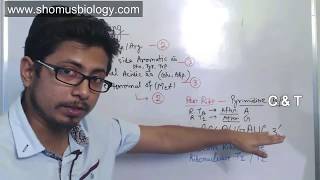 Peptide sequencing problem  CSIR NET analytical problems for Part C [upl. by Flavio]