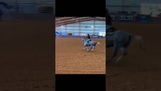 shezsoepic baileyfowler fypシ゚ 2025hopeful futurity filly workharder dedication [upl. by Leahsim]