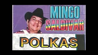 Mingo Saldivar  POLKAS 6 EXITOS [upl. by Hoon]