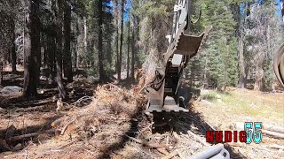 Excavator Maintenance and Disk Mulching Brush Piles RutMFG TakeuchiMFG [upl. by Bernarr]