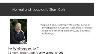 Normal and Neoplastic Stem Cells [upl. by Hakkeber]