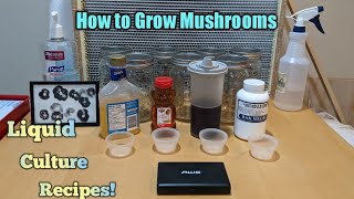 How to Grow Mushrooms Liquid Culture Recipes [upl. by Barlow]