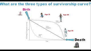 What are the three types of survivorship curve [upl. by Reilly]