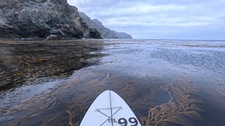 Paddle Board Fishing Catalina Island [upl. by Ylra]