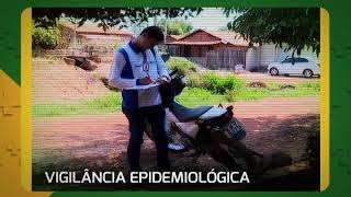 02 Vigilancia Epidemiologica  Interprograma [upl. by Aseiram107]