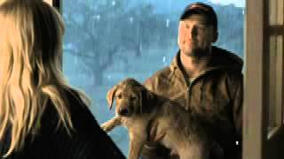 What video storytellers can learn from Budweisers Super Bowl Puppy Love ad [upl. by Atwood676]