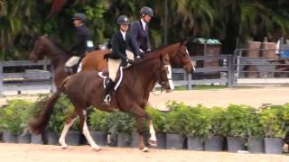 Dandelion Winning Round WEF 8 [upl. by Faye]