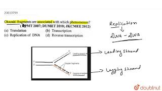 Okazaki fragments are associated with which phenomenon [upl. by Rammaj]