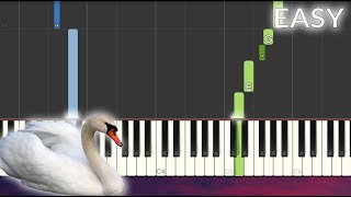 Tchaikovsky  Swan Lake Theme EASY Piano Tutorial [upl. by Aiet]