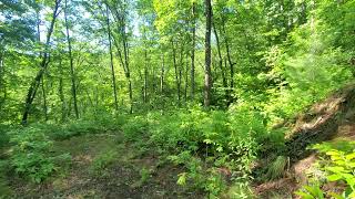 North Carolina Land for Sale  Smokey Mountains  Slyva NC  Owner Financing  Billylandcom [upl. by Enitsed]