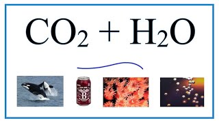 CO2  H2O Carbon dioxide  Water [upl. by Akinhoj]