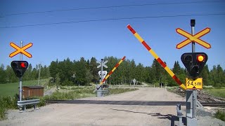 Spoorwegovergang Siilinjärvi FIN  Railroad crossing  Tasoristeys [upl. by Julis142]