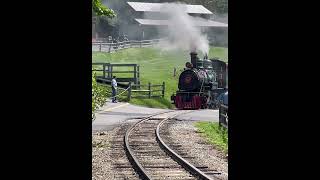 Tweetsie Railroad 12 amp 190  Doubleheader Departure Closeup  Aug 28 2022 [upl. by Hogue]