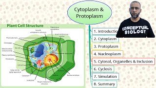 Cytoplasm and Protoplasm with Dr Sohail Jamil Qureshi  MDCAT Biology [upl. by Wootten]