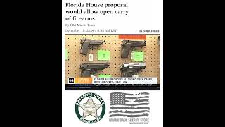 FLORIDA OPEN CARRY LAW OF FIREARMS [upl. by Dlorej]