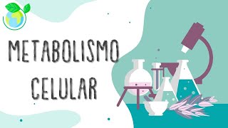 Laboratorio de Biología El metabolismo [upl. by Chandos]