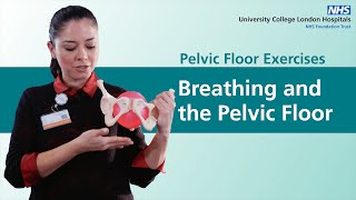 Pelvic Floor Exercises  Breathing and the Pelvic Floor [upl. by Mureil331]