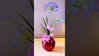 Pink Amaryllis Flower in a Red Vase flowerarrangement flowers [upl. by Mercier]