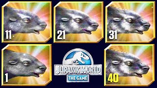 NEW LEGENDARY MYLODON MAX LEVEL FEEDING JURASSIC WORLD [upl. by Daffie908]