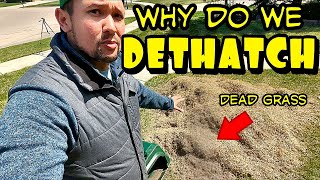 Different Methods to Dethatch Your Ugly Lawn🧹 [upl. by Torrlow]