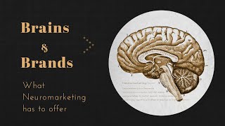 Brains and Brands  How Neuroscience Is Bringing Accuracy to Business [upl. by Rodi58]