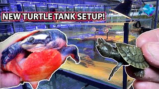 HOW TO SETUP A TURTLE TANK  How to Setup a Turtle Aquarium 🐢 [upl. by Mode]