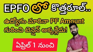 EPF Transfer New Update 2024  EPF Latest Update in Telugu 2024  in Telugu By Nagaraju [upl. by Wexler38]