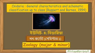 Meet the Cnidarians Characteristics amp Classification Simplified [upl. by Llerrom]