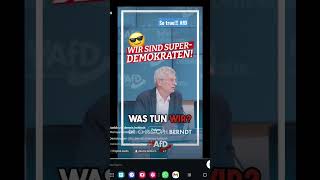 sotrue afd real wahrheit [upl. by Firman]