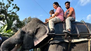 Thekkady Tourist Places  Things To Do in Thekkady  Kerala Trip😁 trending video youtube viral [upl. by Marcela]