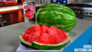 Easy Vodka Infused Watermelon Recipe The Ultimate Summer Treat Popular [upl. by Rebmac]