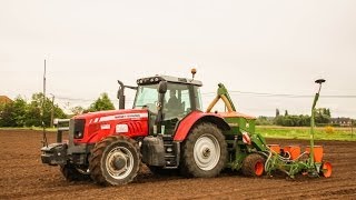 Massey Ferguson 6480 mais zaaien 2014 Demeyer uit Wakken [upl. by Joellyn371]