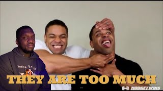 Hodgetwins Funniest Moments 2017  06 TRY NOT TO LAUGH [upl. by Spieler]