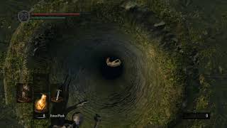 Dark Souls Secret Shortcut In Firelink Shrine [upl. by Atauqal83]