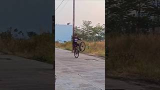 Manual×Stoppie 🗿⚡ cycle rollingstoppie stunt explorepage exploremore fypシ゚ viral popular [upl. by Ailehs]