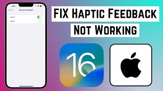 How to Fix Haptic Feedback Not Working in iOS 16 on iPhone amp iPad [upl. by Letnuhs]