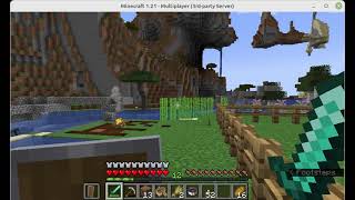 solominer mincraft server java v1211491021400 [upl. by Coulombe]