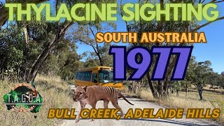 Thylacine sighting 1977 Adelaide Hills South Australia with 2x witnesses [upl. by Sergias]