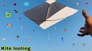 Kite looting ki video 🪁  patang loot li 😎 kite looting new video  kite looters [upl. by Aliuqa100]