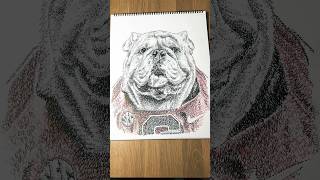 Go Dawgs uga georgia mascot micrography WordArt xyz [upl. by Celeste729]