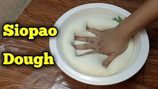 Siopao DoughHow to make Siopao Dough [upl. by Nere]