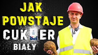 Jak powstaje cukier [upl. by Enila]