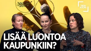 Lisää luontoa kaupunkiin [upl. by Angelico]