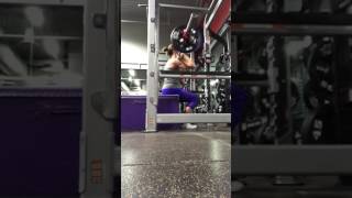 Close stance box squats [upl. by Tteraj171]