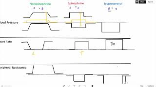 Sympathomimetics Graph Simple Explanation for USMLE I BP HR TPR [upl. by Gardia726]