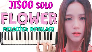 Jisoo Solo FLOWER Melodika Notaları  BLACKPINK [upl. by Gustie]