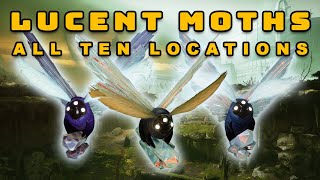 Destiny 2  All 10 Lucent Moth Locations Guide  Lepidopterist FULL Secret Triumph [upl. by Eelrac]